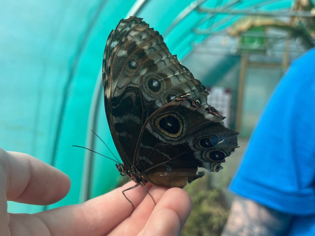 The Bug Parc-Lenwade必去景点