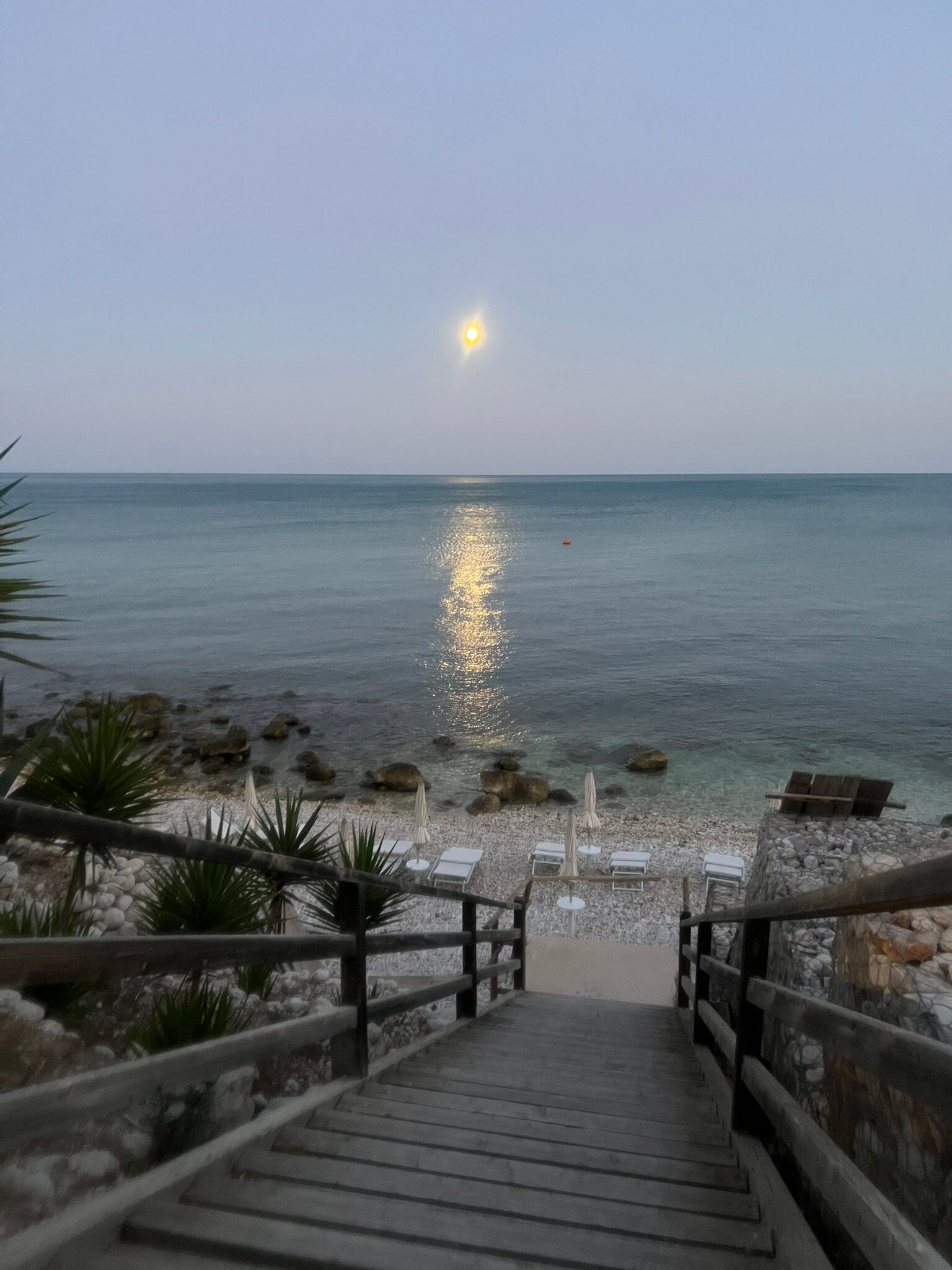 房子和母马酒店-旅行者