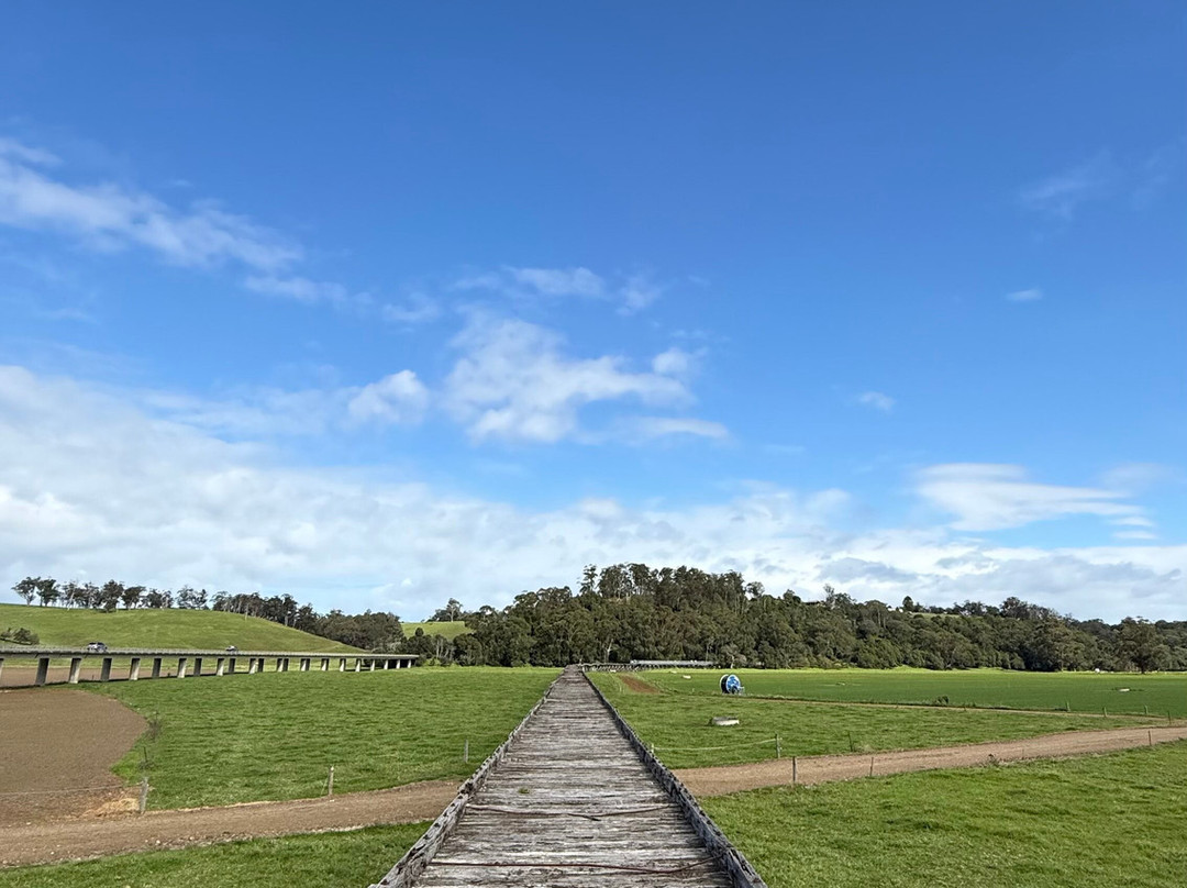 Snowy River Cycling Rail Trail Tours-Orbost必去景点