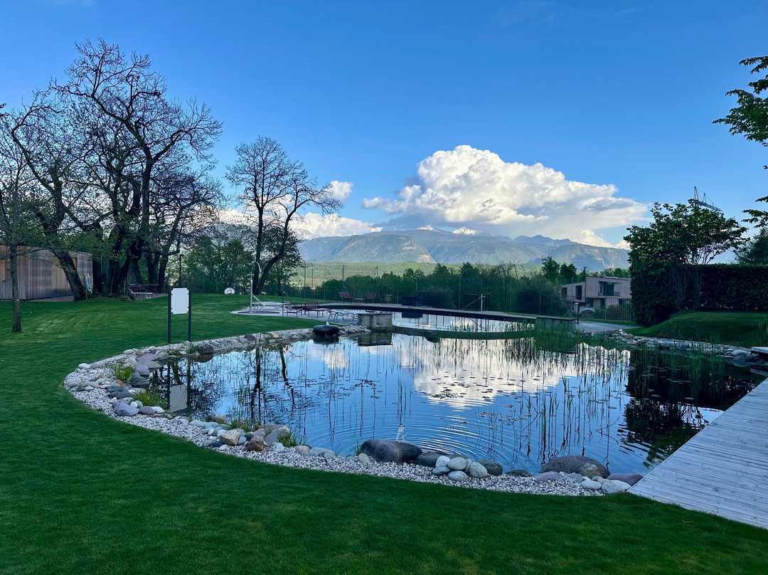 Hotel Weingut Stroblhof主图