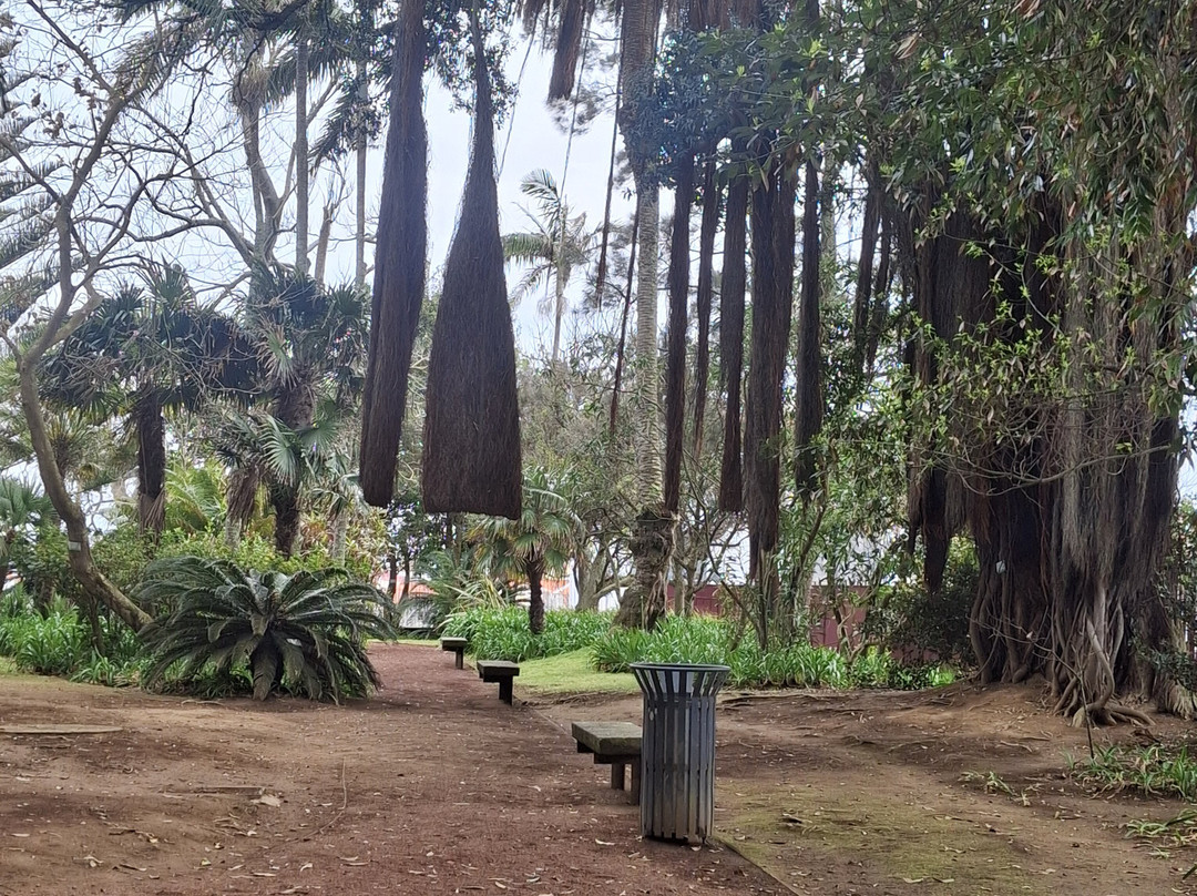 Jardim Botânico António Borges-蓬塔德尔加达必去景点