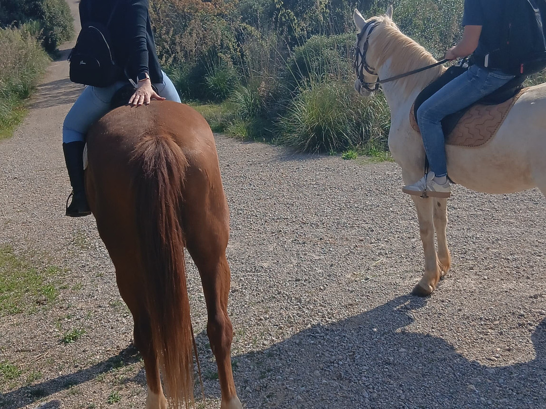 Maneggio Barbazzale-奥尔贝泰洛必去景点