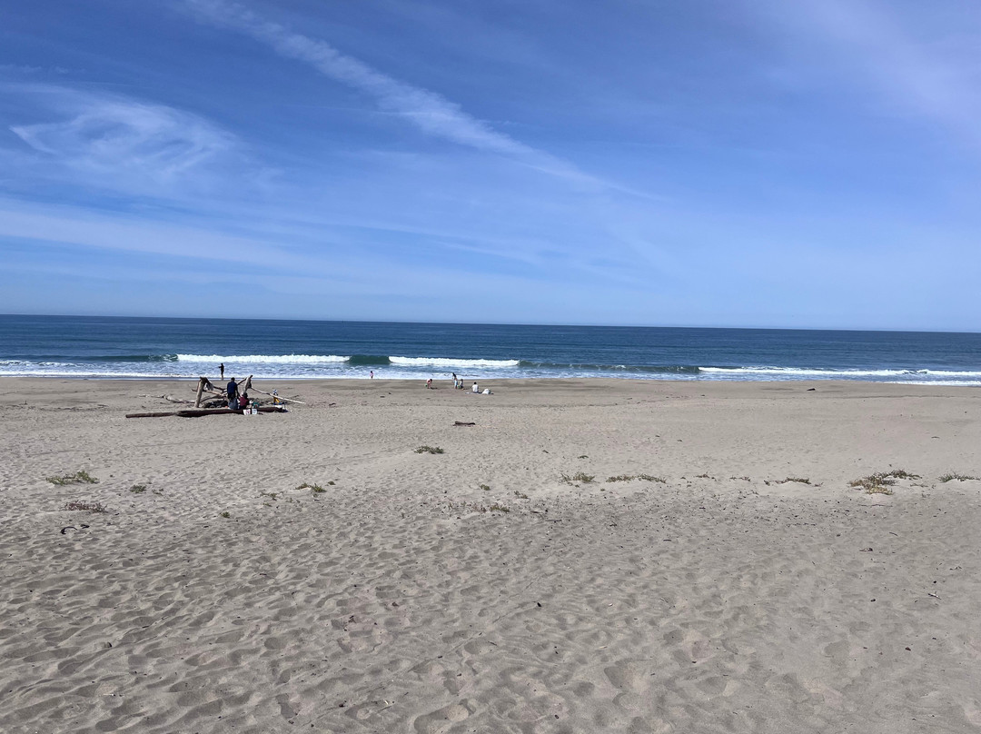 Sunset State Beach-沃森维尔必去景点