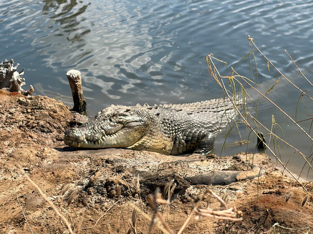 Koorana Crocodile Farm-Coowonga必去景点