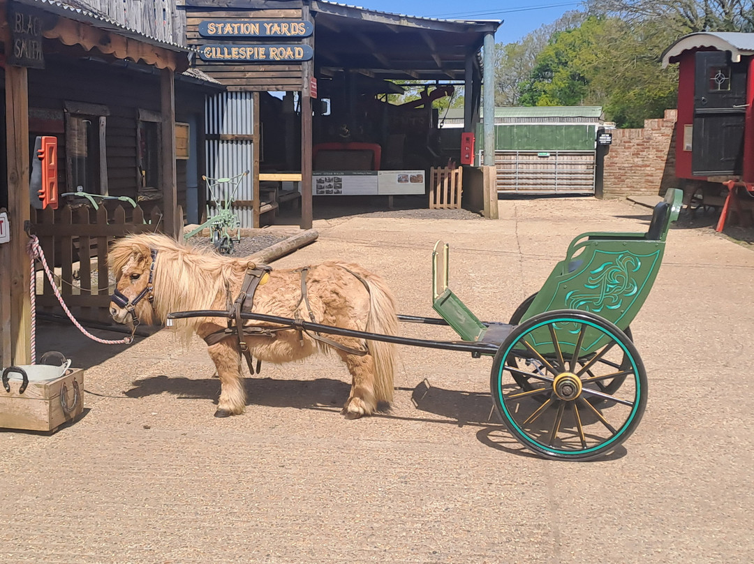 Dorset Heavy Horse Farm Park-Verwood必去景点