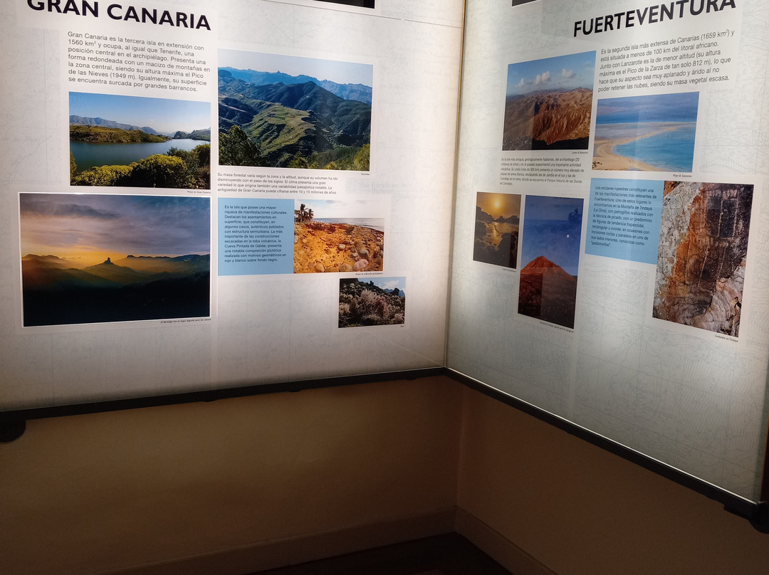 Museo de Naturaleza y Arqueologia-圣克鲁斯-德特内里费必去景点