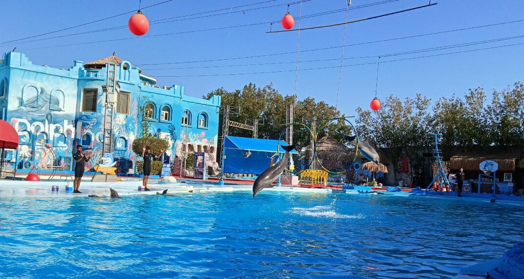 Dolphina Park-沙姆沙伊赫必去景点