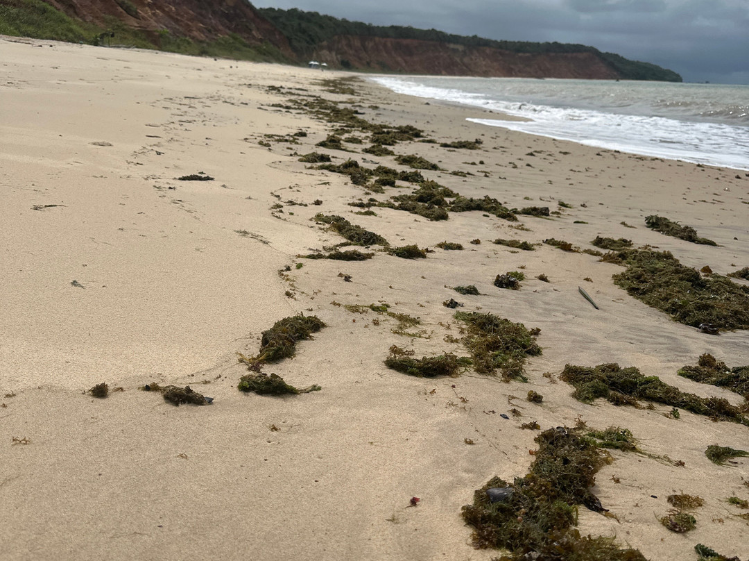 Praia do Carro Quebrado-Barra de Santo Antonio必去景点
