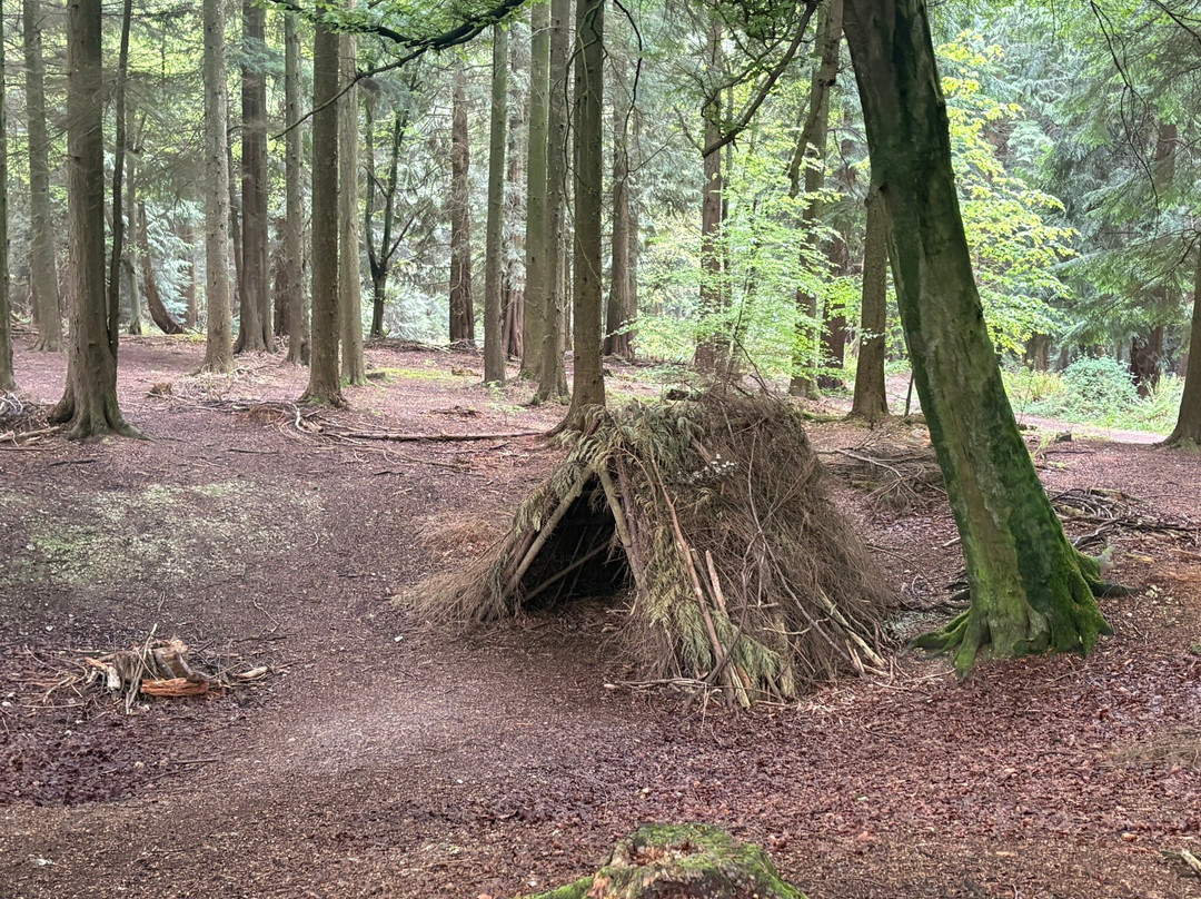 Queen Elizabeth Country Park-Horndean必去景点