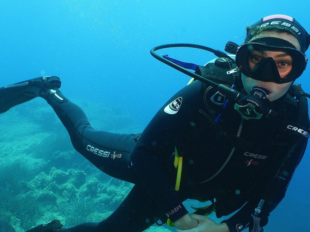 Dive Tolo