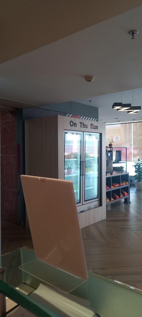 金杰诺伊达市中心酒店-旅行者