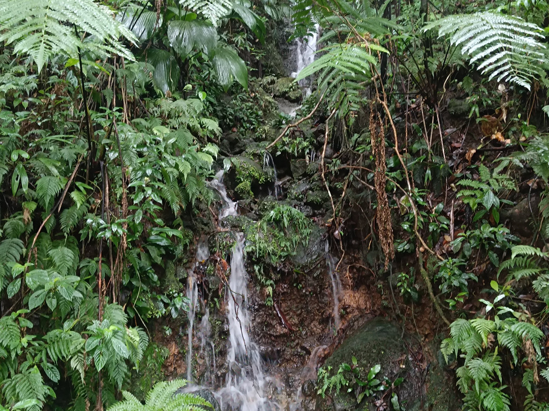 Carbet Falls (Les Chutes du Carbet)-Parc National必去景点