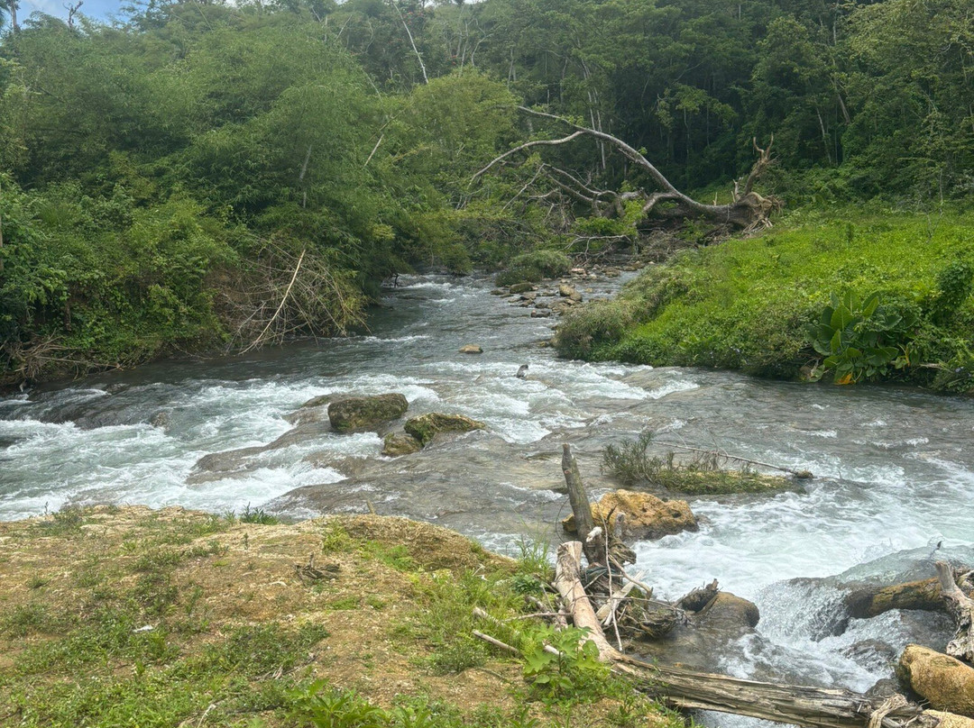 Jammin Jamaica Tours-Lucea必去景点