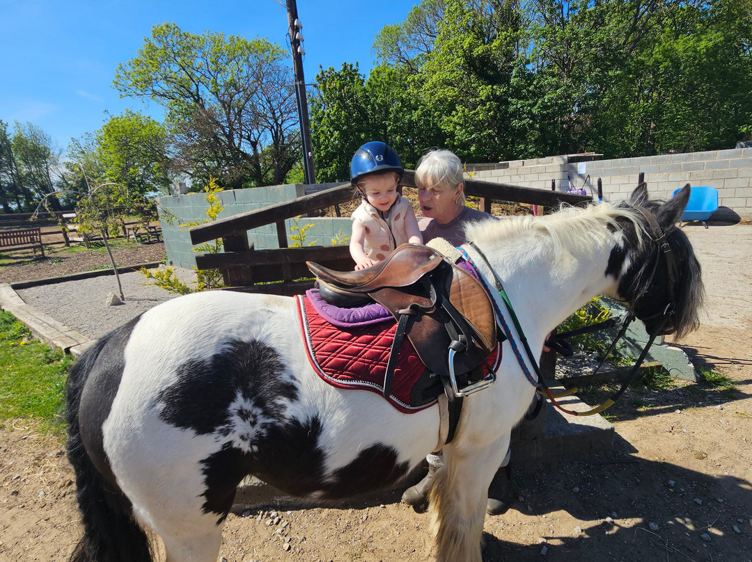 Bridlewood Equestrian Centre-Gwespyr必去景点
