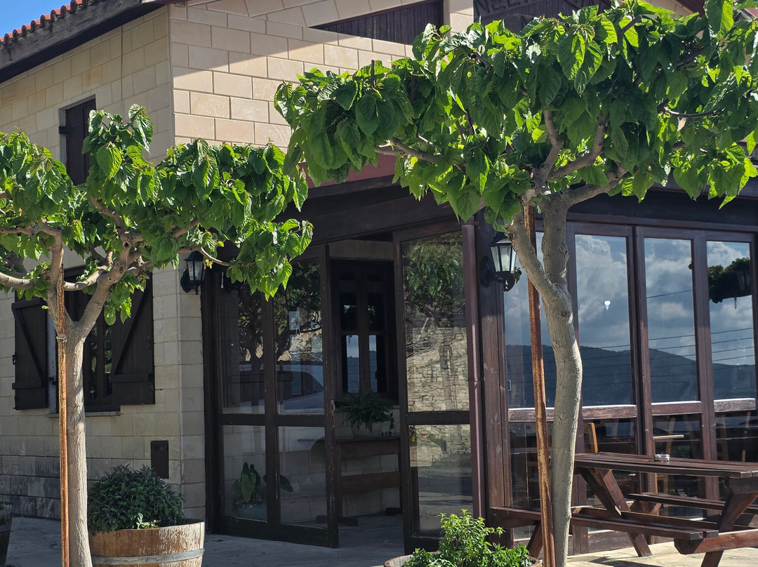 Nelion Winery-Praitori必去景点