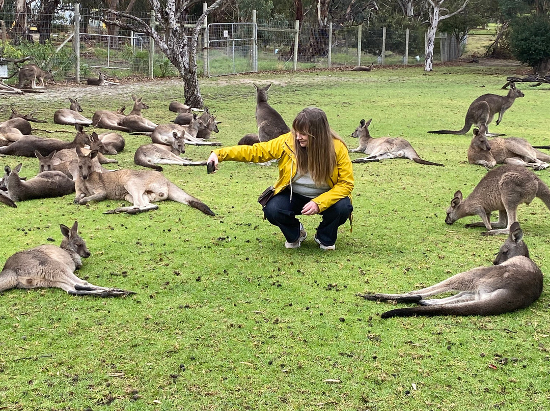 Urimbirra Wildlife Park-维克多港必去景点
