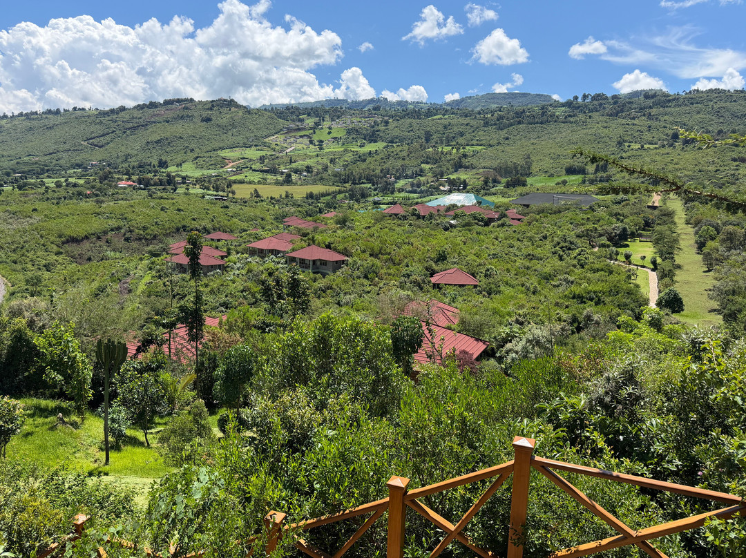 Sawela Capella Lodge