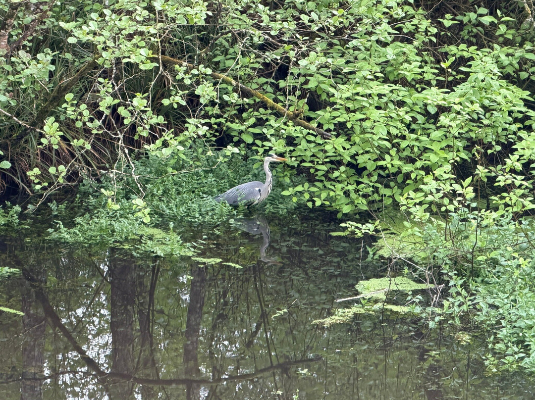 Doneraile Wildlife Park-Doneraile必去景点