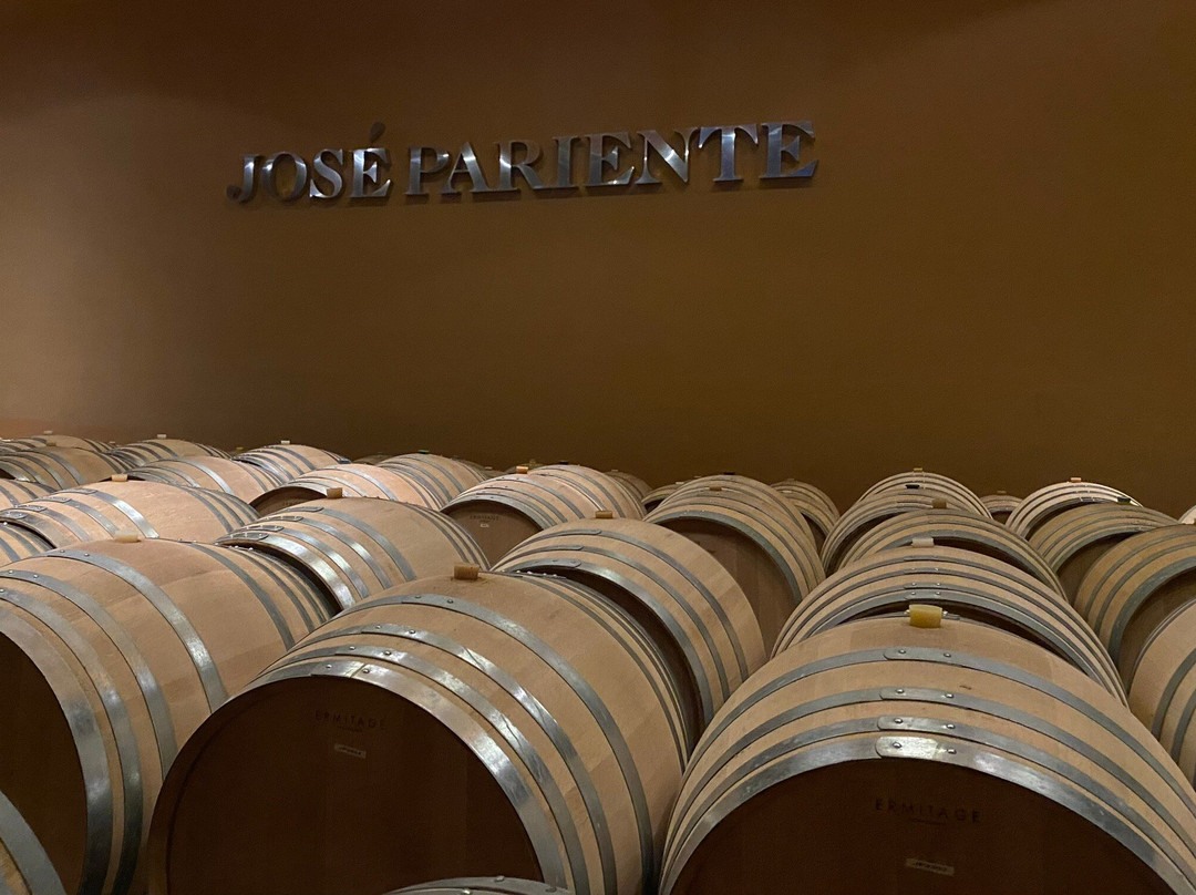 Bodegas José Pariente-La Seca必去景点