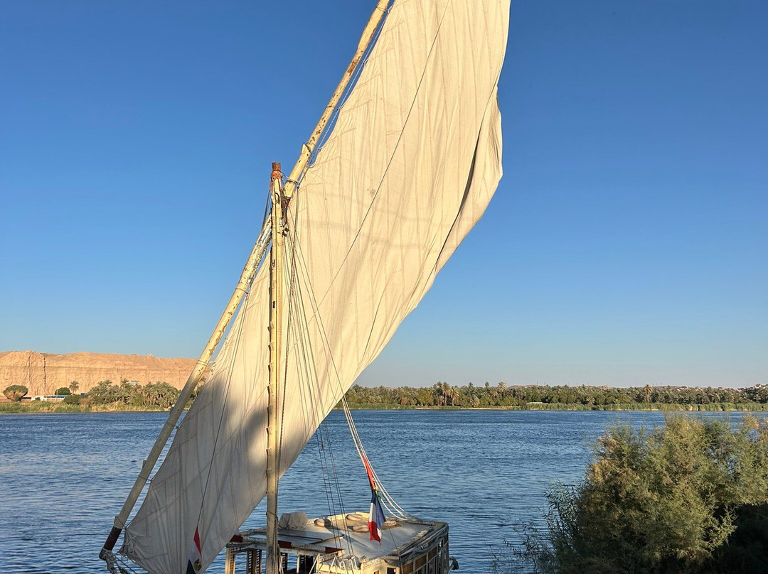 Hamdy Cook Felucca-亚斯文必去景点