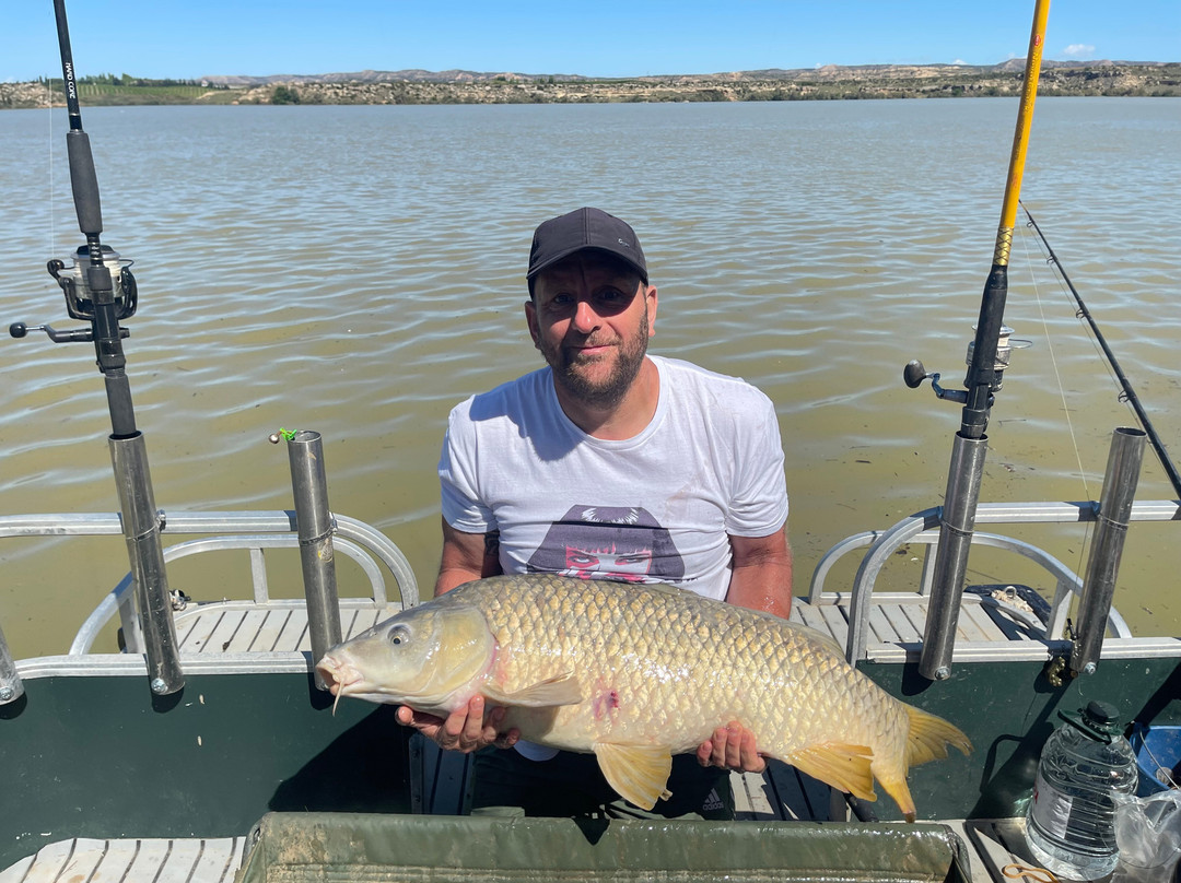 River Ebro Catfishing Holidays-Caspe必去景点