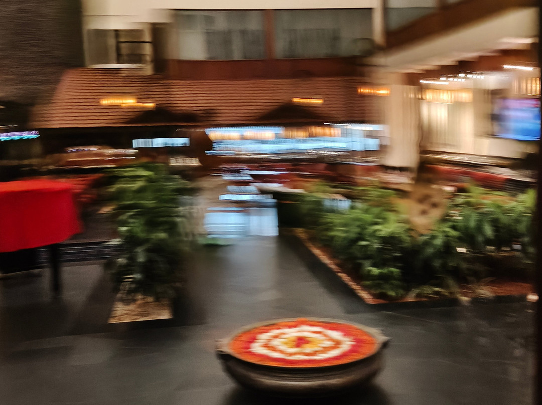 班加罗尔保罗酒店主图