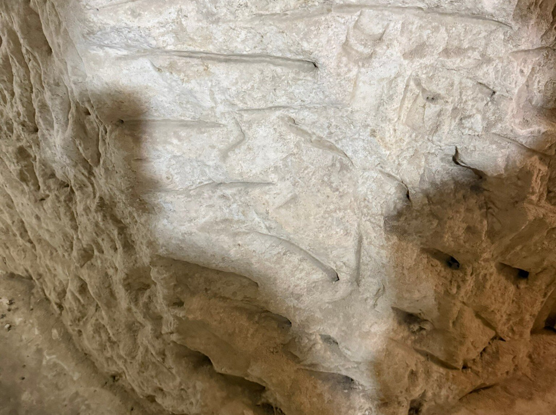 War Shelter of Platanias-Platanias必去景点