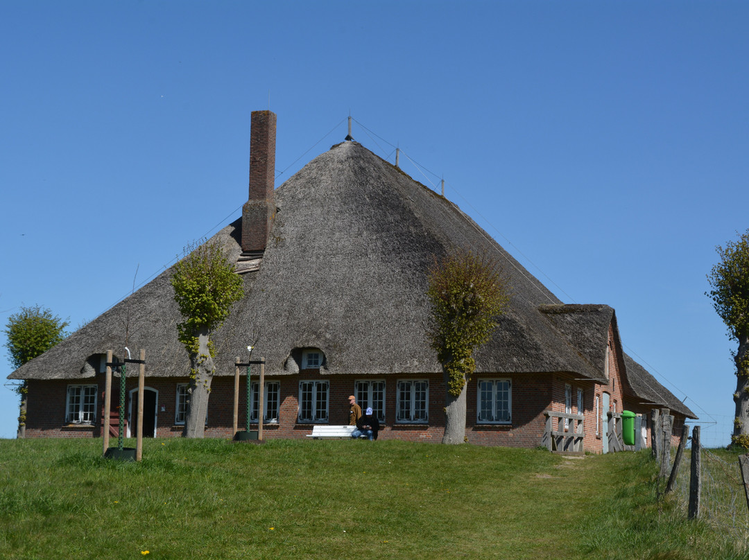 Schleswig-Holstein Open Air Museum-Molfsee必去景点