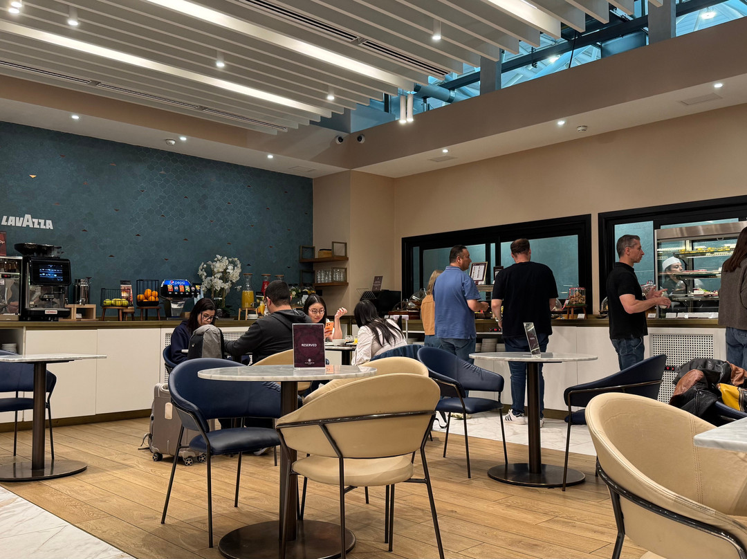 Plaza Premium Lounge (Schengen Area Departures Terminal 1)-菲乌米奇诺必去景点