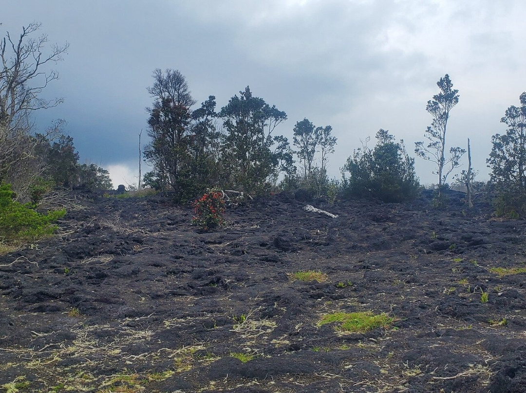 夏威夷火山国家公园-夏威夷火山国家公园必去景点