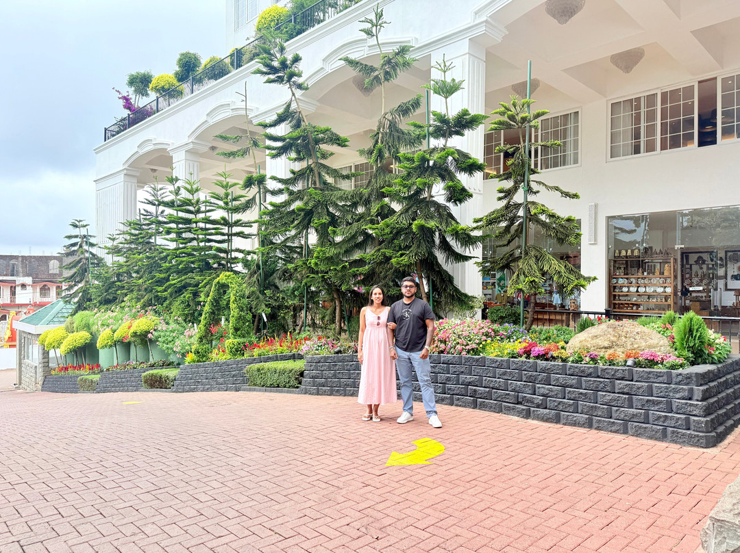 阿拉利亚雷德酒店-努沃勒埃利耶主图