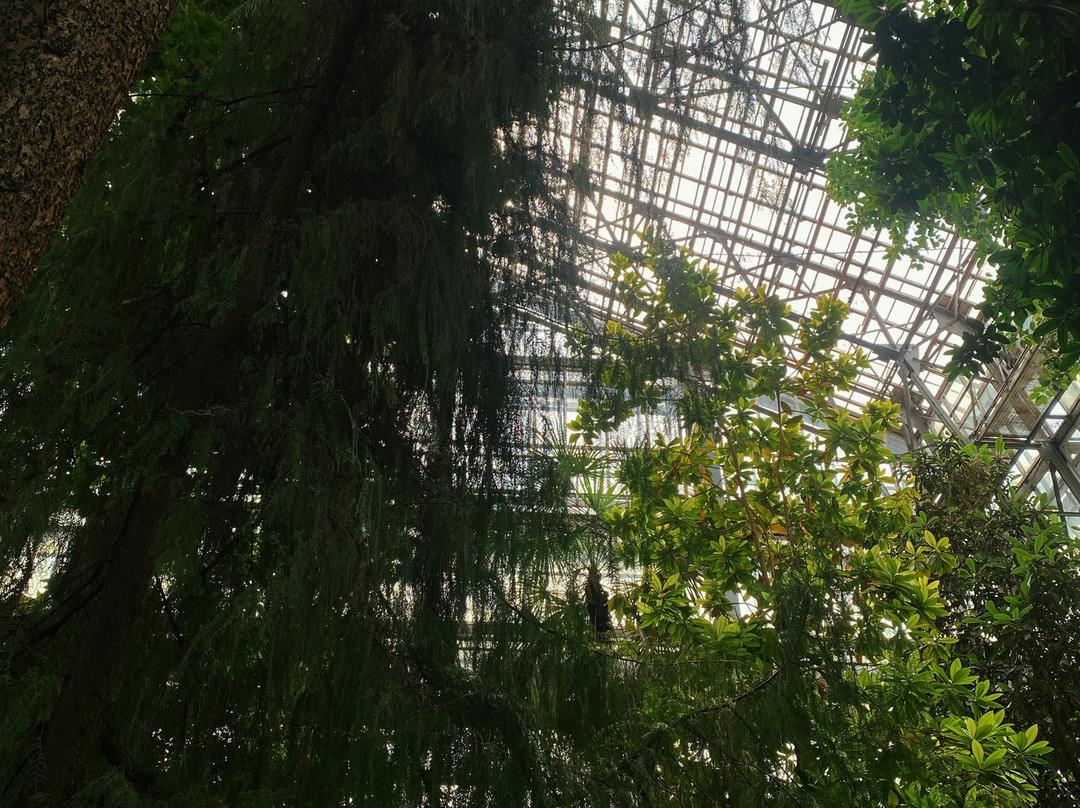 Siberian Botanical Garden-托木斯克必去景点