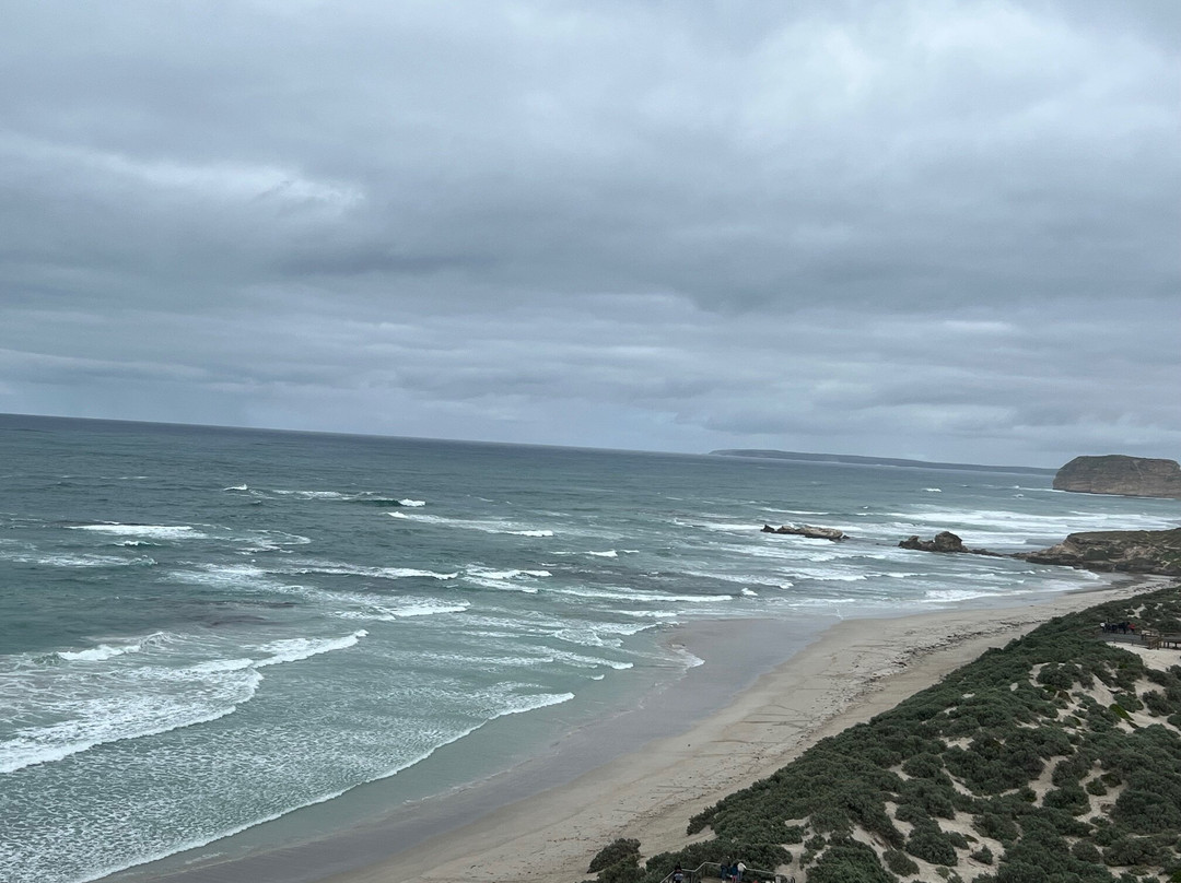 Seal Bay Conservation Park-Seal Bay必去景点