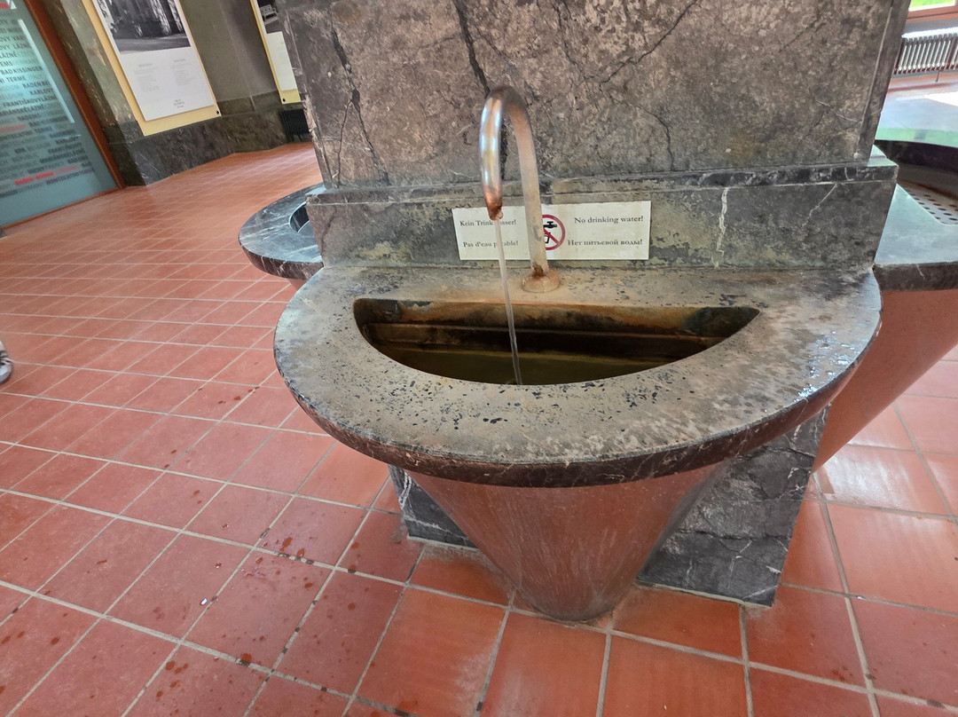 Pump Room (Trinkhalle)-巴登巴登必去景点