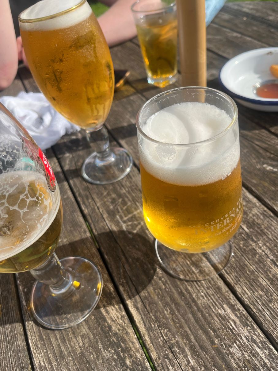 新旅馆酒店 - 格林国王旅馆-旅行者