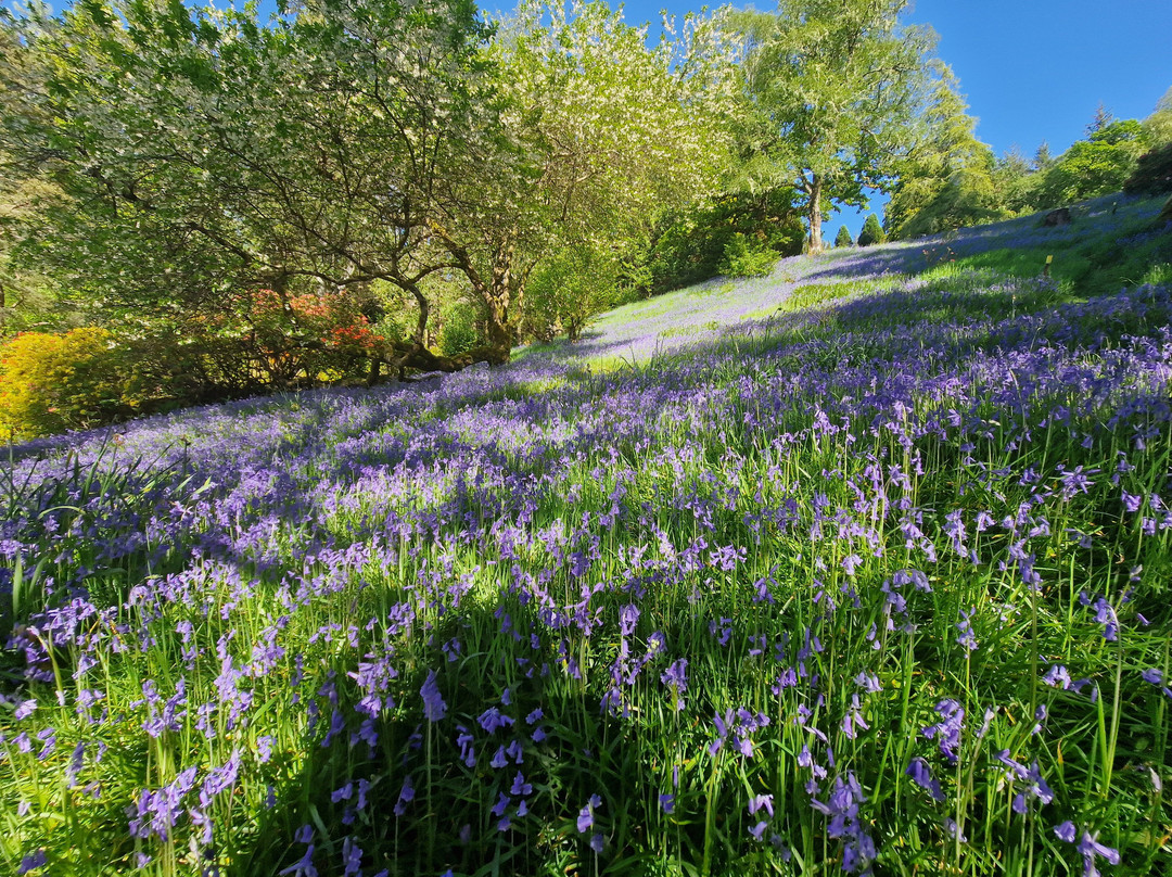 Angus's Garden, Barguillean-Taynuilt必去景点
