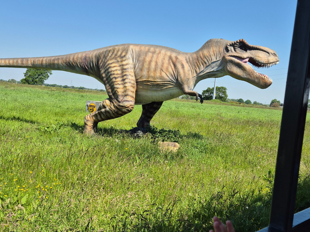 Farmer Teds Adventure Farm-Ormskirk必去景点