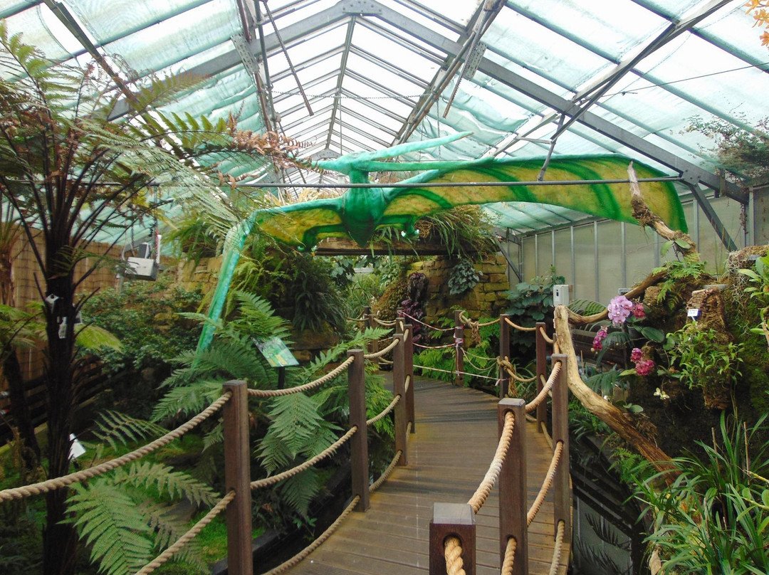 Manor Heath and Jungle Experience-哈里法克斯必去景点