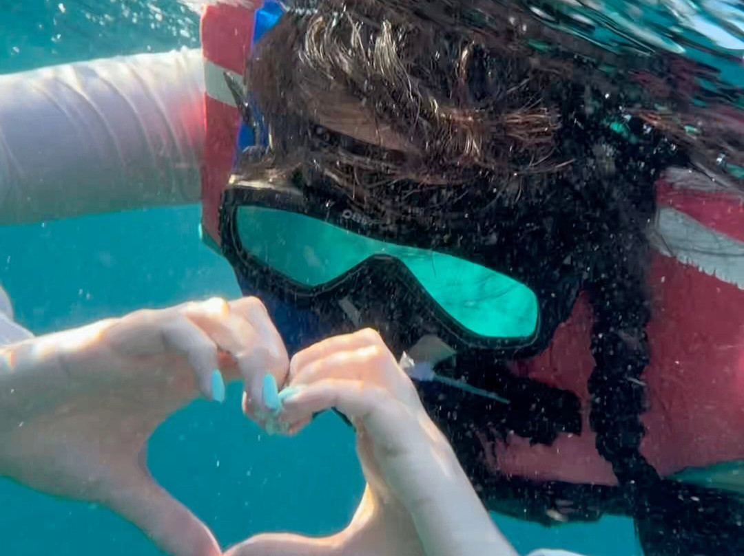 Menjangan Tour Snorkeling & Diving-Pejarakan必去景点
