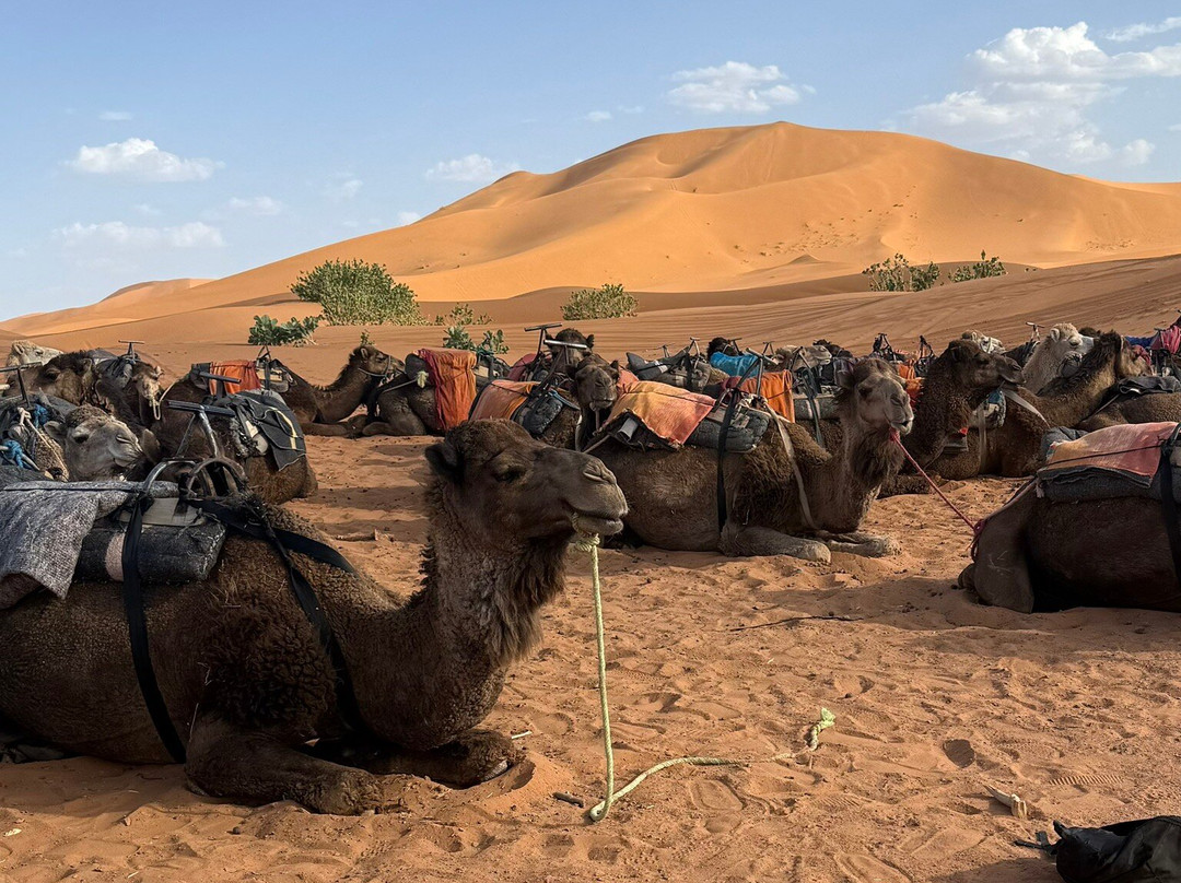 Marrakech Desert Trips-马拉喀什必去景点
