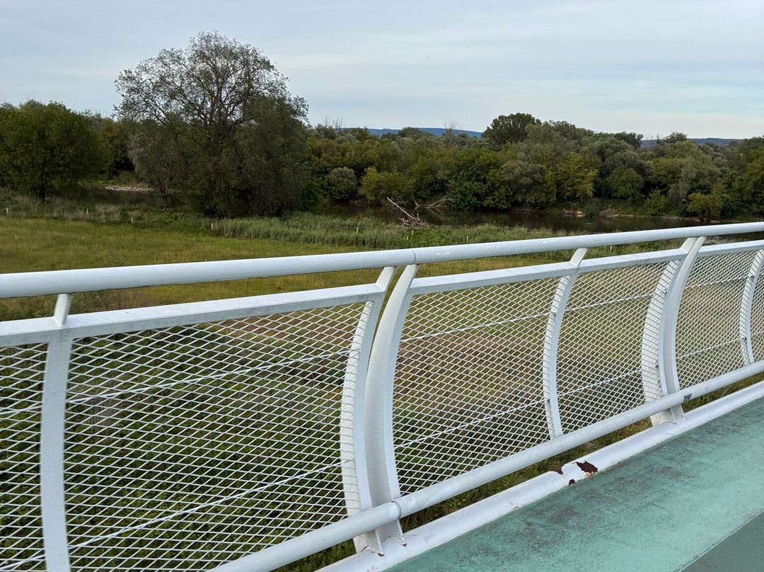 Freedom Cycling Bridge-Devinska Nova Ves必去景点