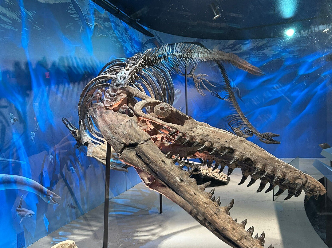 Museum of the Rockies-博兹曼必去景点