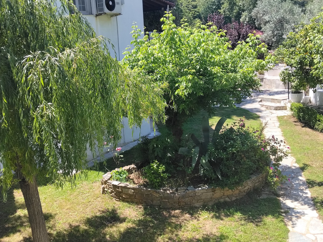 Myrtia Summer Village主图