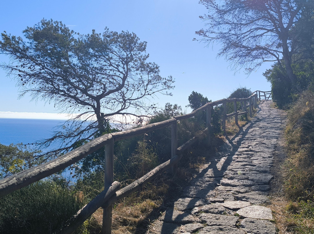 Parque Natural de Penyal D'Ifach-卡尔佩必去景点