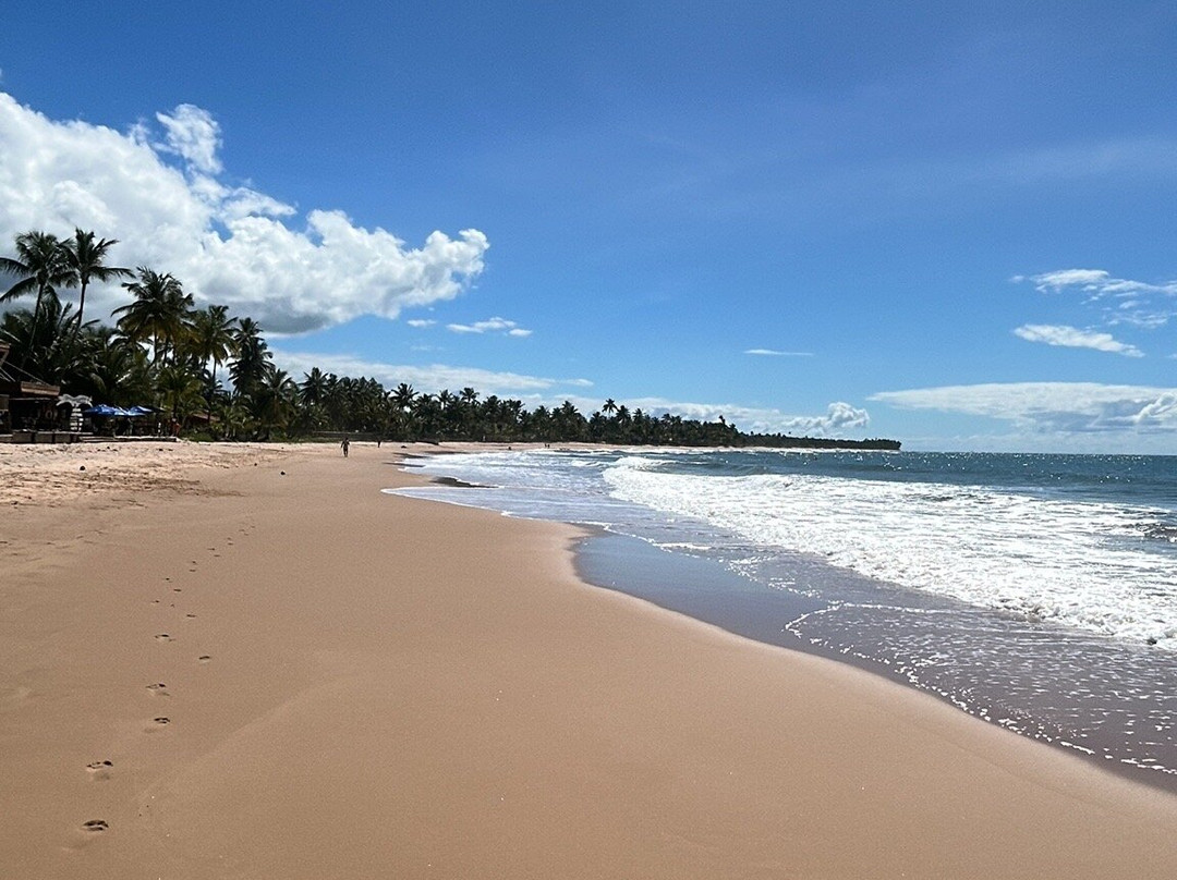 Praia Taipu de Fora-Marau必去景点