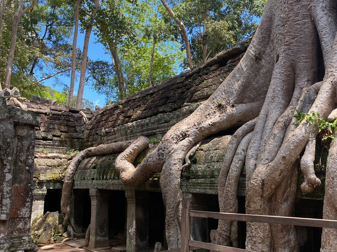 Journey Cambodia-暹粒必去景点