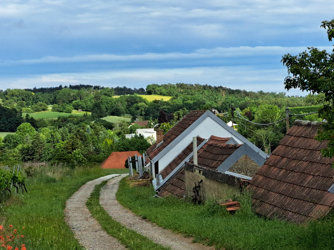 Kellergasse Schiltern-Schiltern必去景点