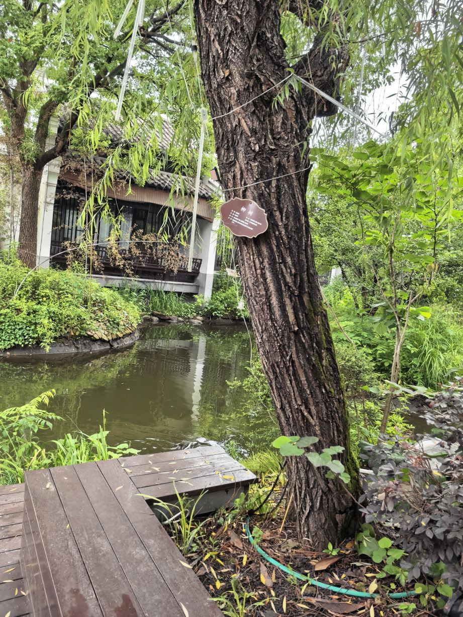 杭州西溪悦榕庄-旅行者