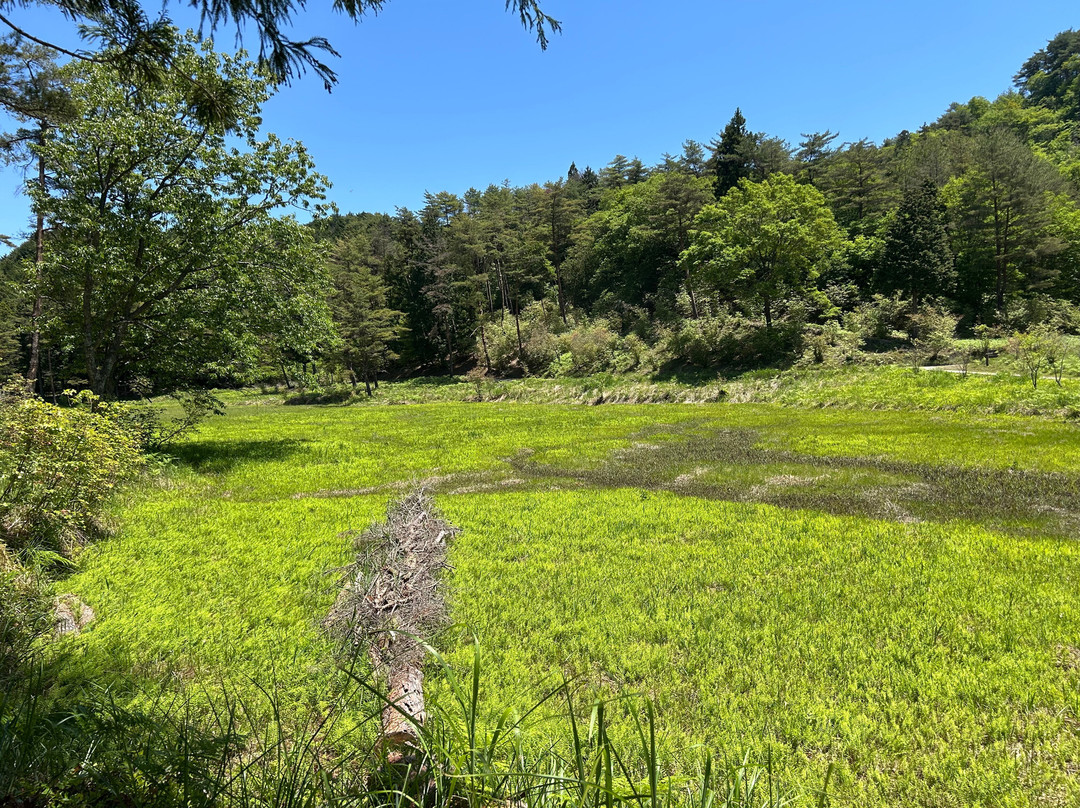 Kurozou Marshland-三好市必去景点