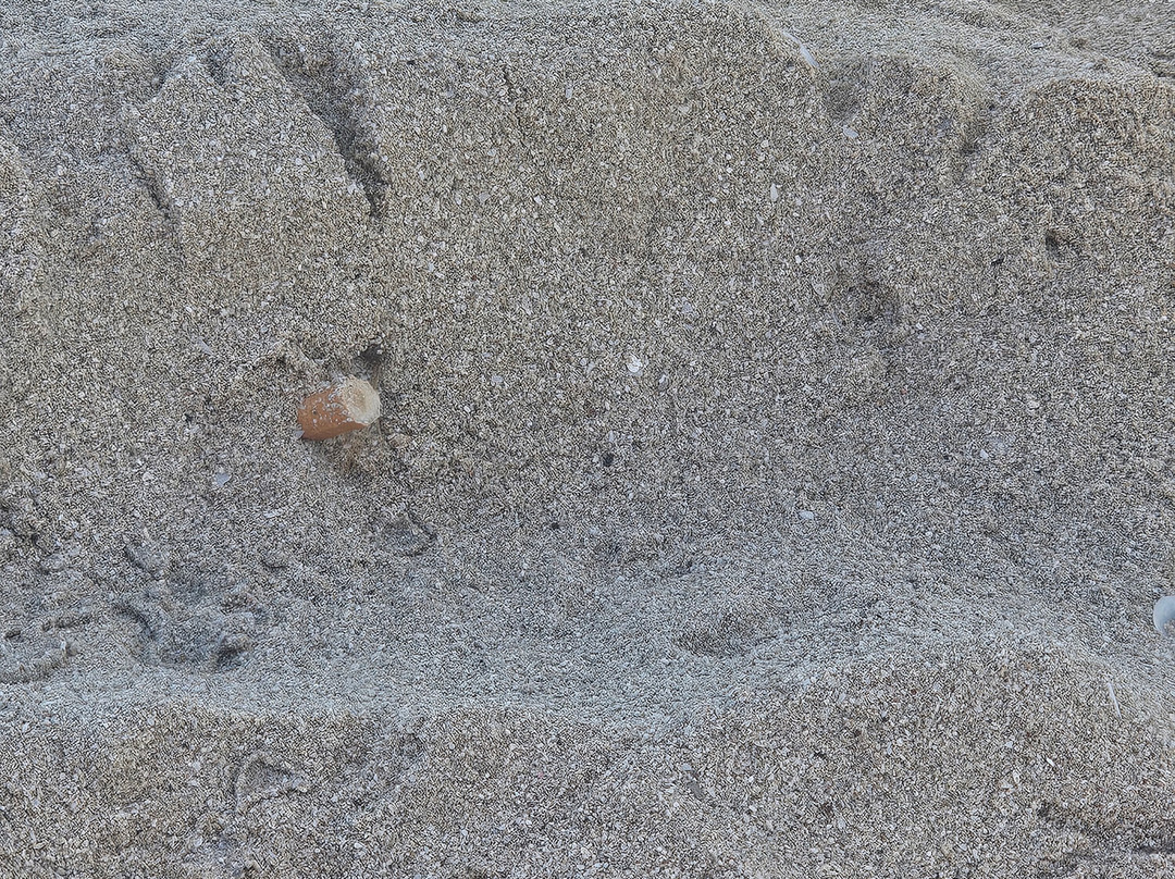 Stabilimento Balneare Al Sabbione-圣维托角必去景点